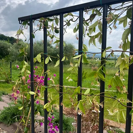 Homestay szállás Casa Ulivi Del Garda *